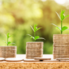 Financial Tricks, Tips, and FREEBIES